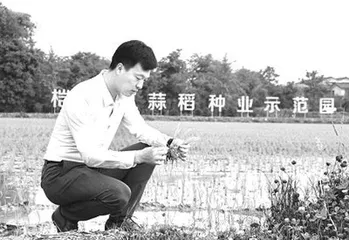 我们的青春,绽放在田野乡间4