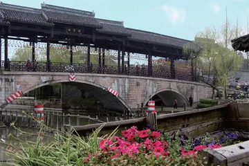 梅花洲:绽放千年幽香2