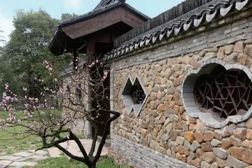 梅花洲:绽放千年幽香3