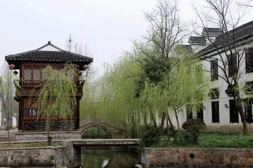 梅花洲:绽放千年幽香5
