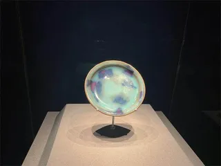 细纹如拟冰之裂,数枝梅浸玉壶春1