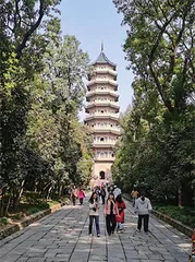 青春打卡地