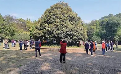 青春打卡地3