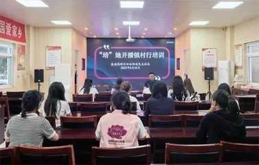 盐南高新区妇联:凝聚“她”力量,助力高质量发展4