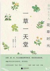 野草的治愈力