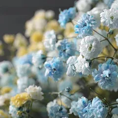 持守真善美