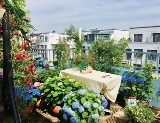 图片故事