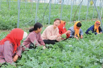 脚沾泥土,播洒温暖1