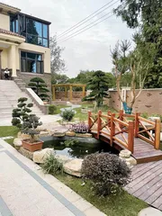 南京市江宁区青龙社区:一户一风景,巾帼力量串起美丽乡村1