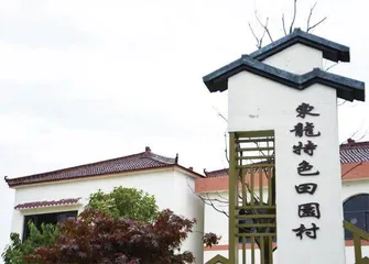 南京市江宁区青龙社区:一户一风景,巾帼力量串起美丽乡村2