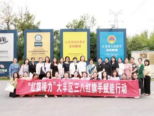盐城市大丰区妇联:赋能提优,基层妇联组织建设有活力5