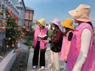 南京市栖霞区妇联:“美丽庭院”为乡村振兴增色添彩3