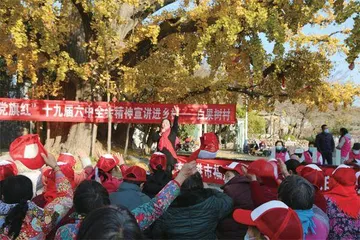 连云港市妇联:探索助力共同富裕实践路径1