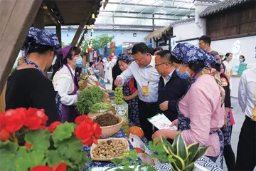 南京市栖霞区妇联:赋能基层头雁,凝聚发展动力2