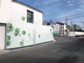 南京市江宁区元山社区:创建美丽庭院,点“靓”美丽画卷2