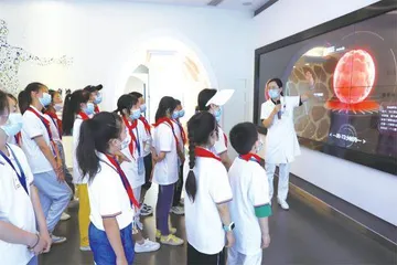 图片故事4
