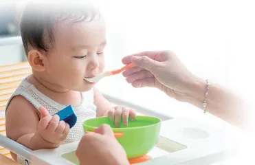 6~23月婴幼儿辅食喂养指南解读4