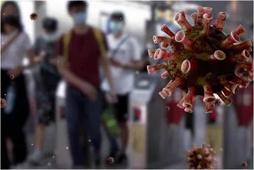 肺炎支原体知多少2