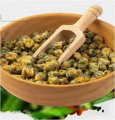 疏风清热话菊花
