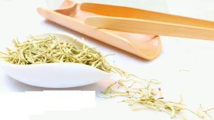 “天然抗生素”金银花