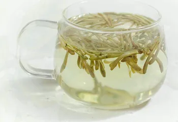 “天然抗生素”金银花1