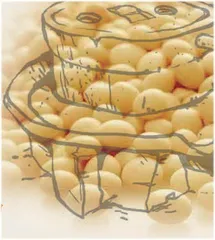 得了乳腺结节还能喝豆浆吗