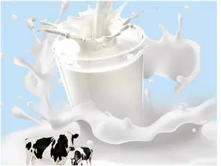 带你了解牛奶蛋白过敏
