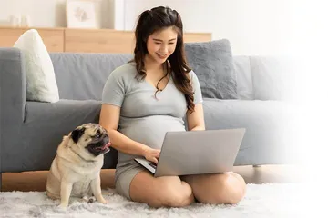 怀孕了　要送走宠物吗