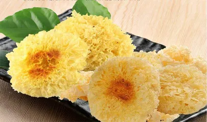 食用菌之冠 银耳1