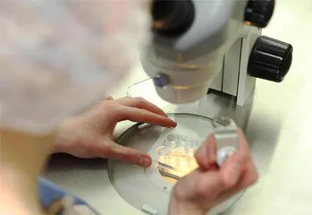 了解男性精液备孕少走弯路1