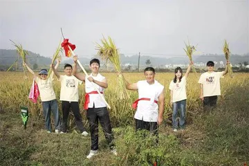 安徽黄山:茶墨水乡成功举办生态稻米文化节2