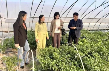 安徽芜湖:验收督导发挥示范基地作用,资金扶持促进妇女健康创业1