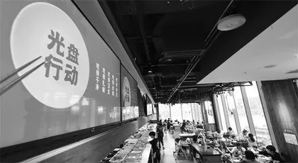 八项规定，力度与温度的10年浸润