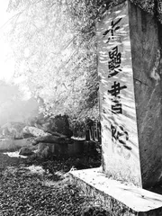 刘亮程:乡村是城市人的后路1