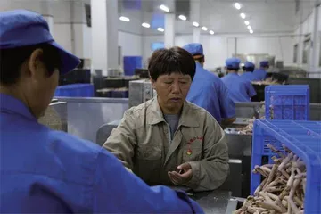 谭艳芳：做人不能只想自己