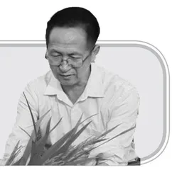 杨华德：在非洲播撒希望的种子