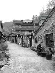 留坝，留下吧