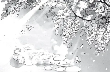 五月，槐花香艳食更美