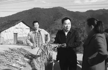 “一夜惊怜丝吐尽, 三乡切盼燕归来”2