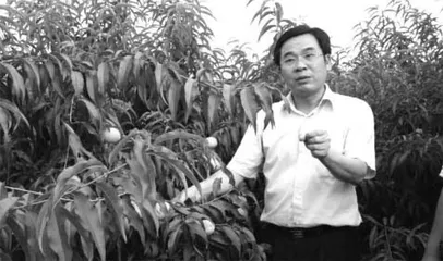 “一夜惊怜丝吐尽, 三乡切盼燕归来”3