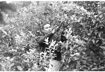 黄文秀:用生命书写时代答卷2