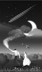 陪你去看“流星雨”