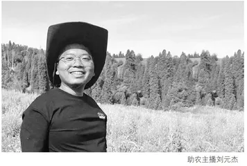 “假背景”小伙援疆助农：每一座孤岛都被深海相拥