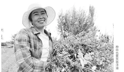 田鼠大婶沙漠写书：春种一粒粟，秋收万言诗