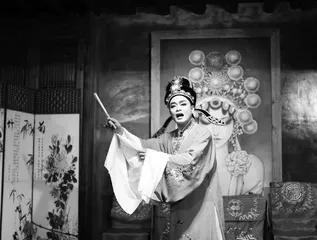 斗室“越剧大师”：注定要去处，多晚都有光