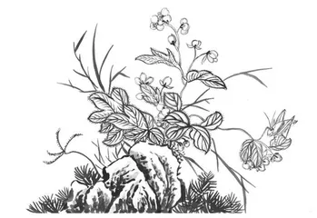 长白山天池