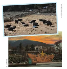浮光掠影川西行6