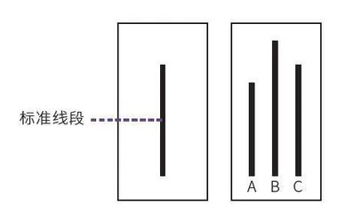 从众心理:我们为什么会跟随别人做决定?1