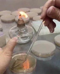 湿地土壤微生物数量大揭秘！4