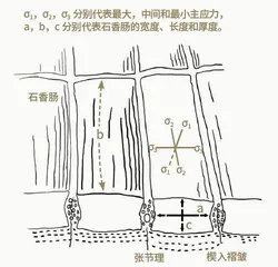 埋在大地里的“香肠”4